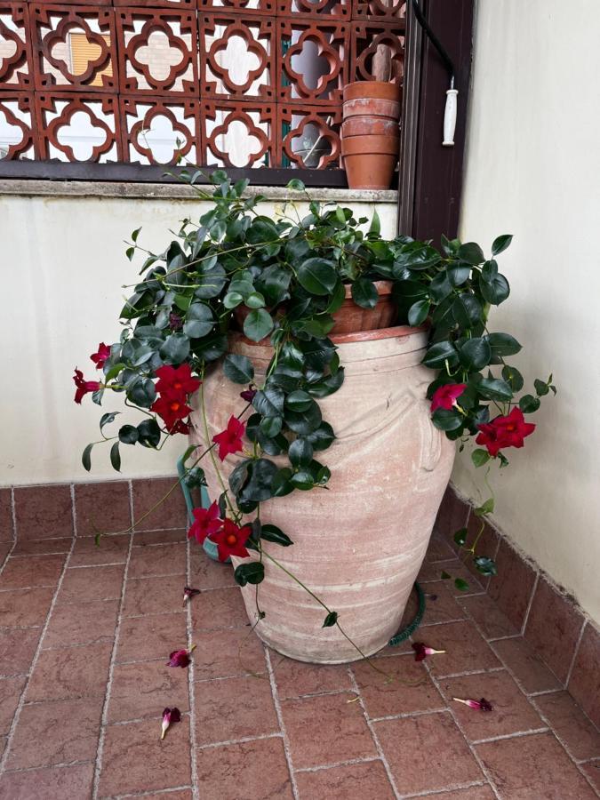 B&B La Panoramica Тиволи Экстерьер фото